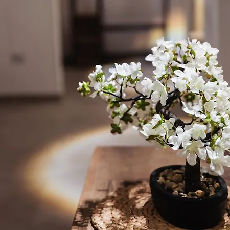 Il Girasole 3* Μπαρλέτα